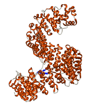 <span class="mw-page-title-main">IPO5</span> Protein-coding gene in the species Homo sapiens