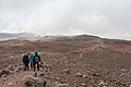 Reserva de Producción de Fauna Chimborazo