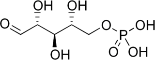 Ribose 5-phosphate Chemical compound