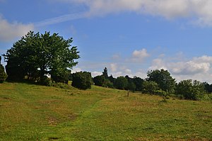 Risen naturreservat.jpg