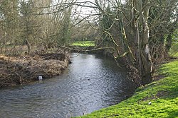 River Arrow, Alcester - geograf.org.uk - 670082.jpg