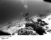 Examining the shipwreck site in 1995 Rkp-b&w95017 Black Assarca survey.jpg