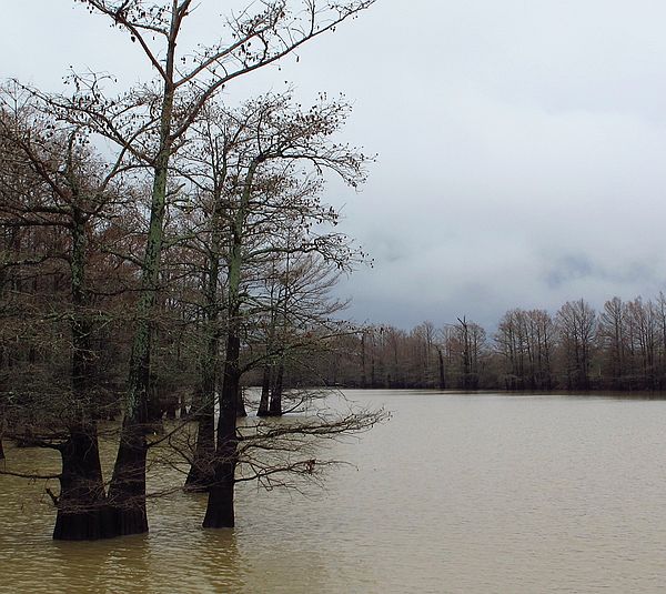 Roebuck Lake in Itta Bena