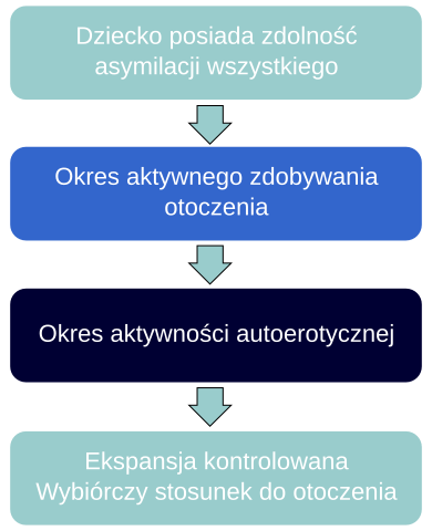 File:Rozwoj osobowosci wedlug Cormana.svg