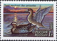 Crepitio verde acqua.  Il primo francobollo della serie russa (1992)