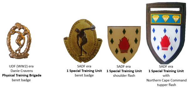 SADF 1 Special Training Unit insignia