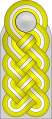 Shoulder board (Waffen-SS)