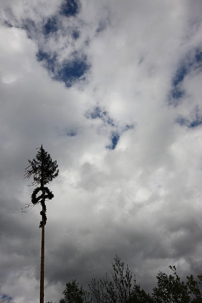 File:Sankt Johann am Tauern maibaum 4240 13-05-29.JPG