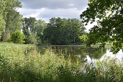 So kommt man zu Schönerlinder Teiche mit den Öffentlichen - Mehr zum Ort Hier