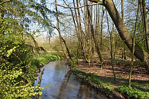 Schleswig-Holstein, Neumünster, Stör NIK 9710.JPG