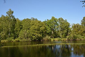 Schleswig-Holstein, Tellingstedt, Landschaftsschutzgebiet Großes Moor Kätner Moor NIK 7127.jpg