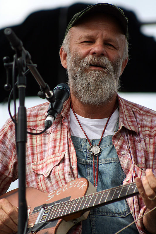 Стив википедия. Seasick Steve. -Seasick Steve гитары. Seasick Steve transguitar. Seasick Steve "cheap".