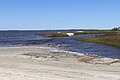 Sidney Lanier Bridge from St. Andrews Beach Park