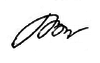 Signature anna bondar 2015.png