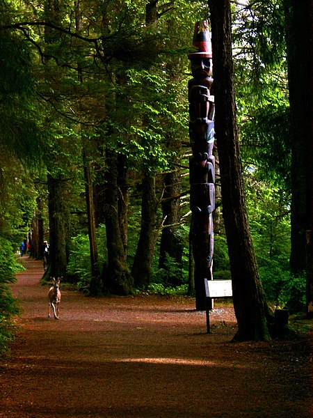 File:Sitka Deer on Totem Park Trail (d41191f1-cf71-4b2c-b0f2-522261556075).jpg