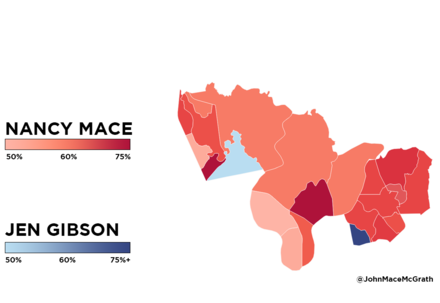 Nancy Mace vs. Jen Gibson, general election in South Carolina 99th House District on November 6, 2018