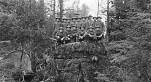Spruce Division soldiers on stump.jpg