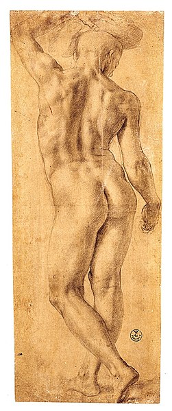 File:Standing-Nude-Seen-from-the-Rear-ca.-1541–42.jpg