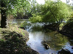 Stevenson Brook in Hawthorne where it joins the Passaic River Stevenson Brook mouth.jpg