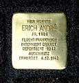 wikimedia_commons=File:Stolperstein_Erich_André_-_Aachen.JPG