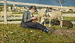 編み物をする娘 （1888年、チューリヒ美術館所蔵）