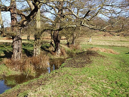 Sudbrook Richmond Park