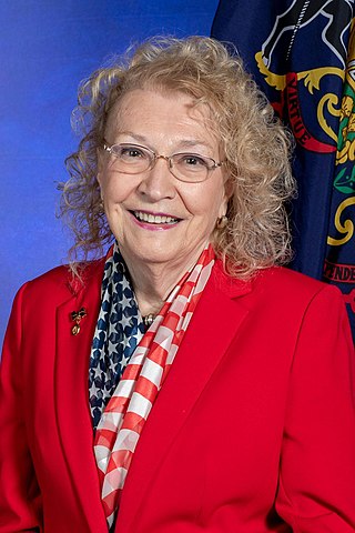 <span class="mw-page-title-main">Sue Helm</span>American politician