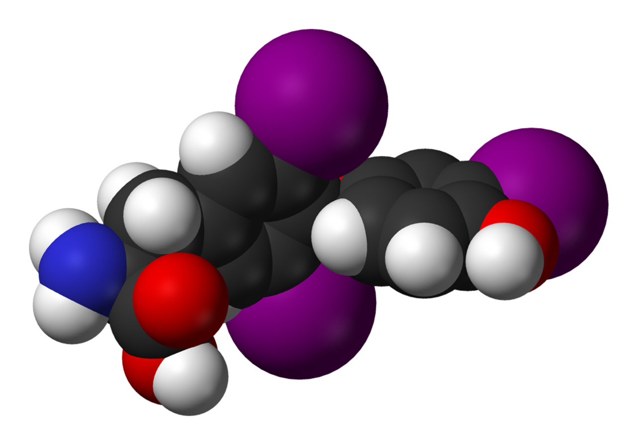 Triyodotironina baja