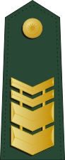 File:Taiwan-army-OR-8.svg