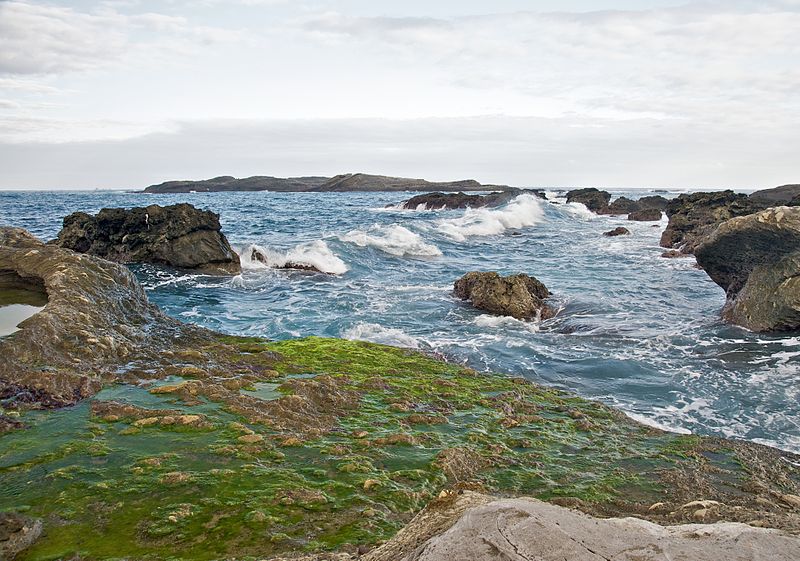 File:Taiwan 2009 East Coast ShihTiPing Giant Stone Steps Algae FRD 6581.jpg