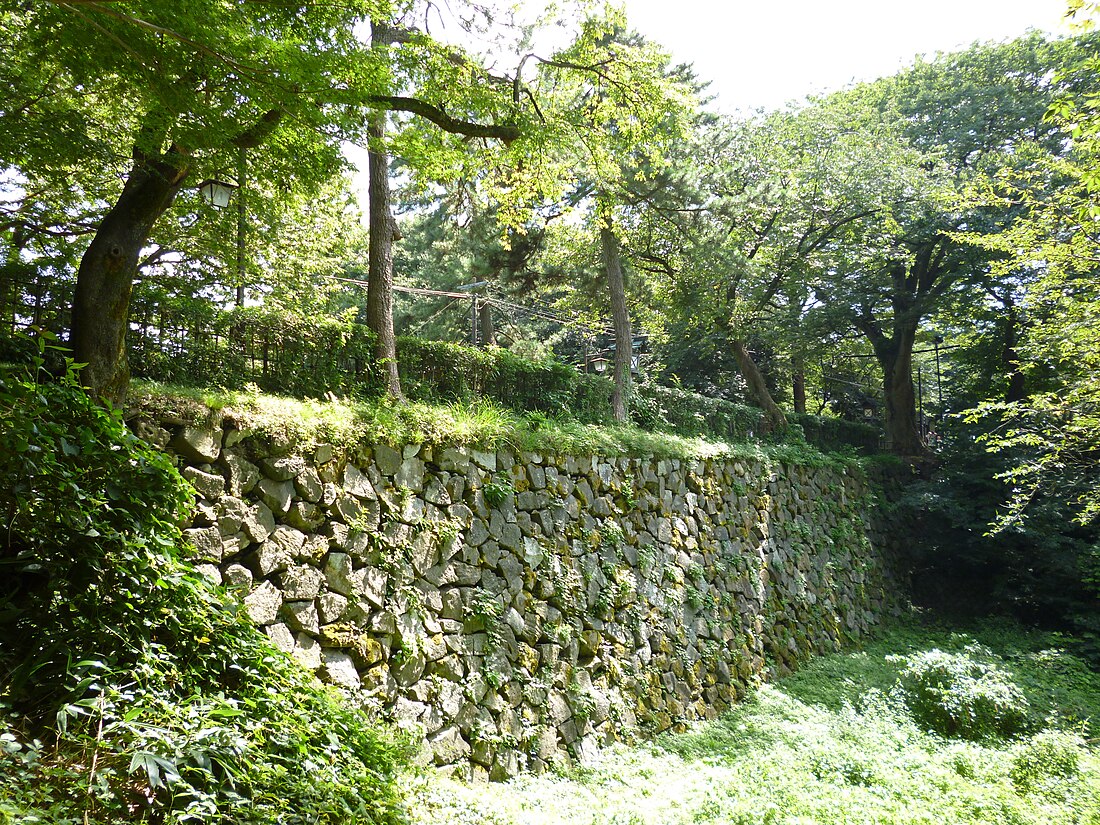 Castillo de Takaoka