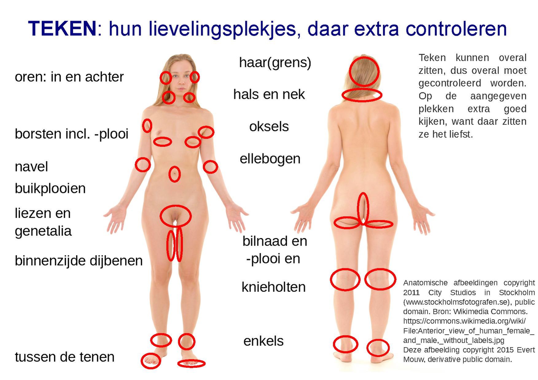 File:Tekencontrole 02.pdf - Wikimedia Commons