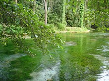 Spring water in Varronian Thermal Baths.