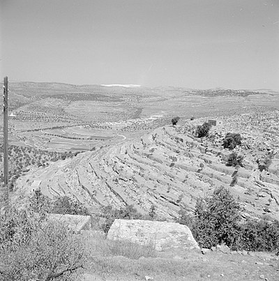 Terrassen tegen een heuvel bij Ein Karem., Bestanddeelnr 255-2789