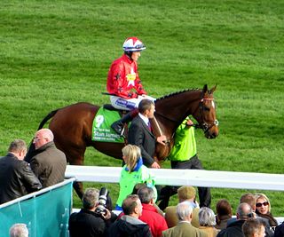 <span class="mw-page-title-main">The New One (horse)</span> Irish-bred Thoroughbred racehorse