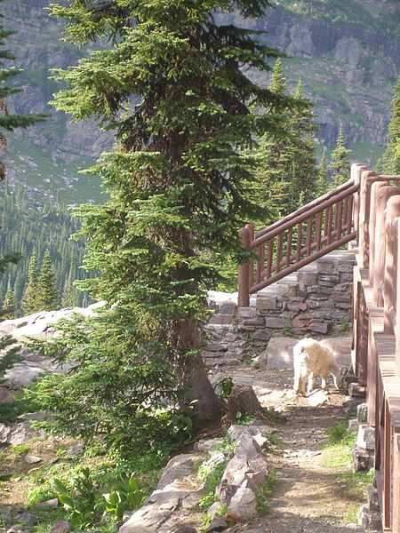 File:The Sperry Chalet, Glacier National Park, Montana, USA July 21, 2007 - panoramio.jpg