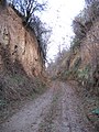 Gola a pareti verticali nel loess (Ungheria)