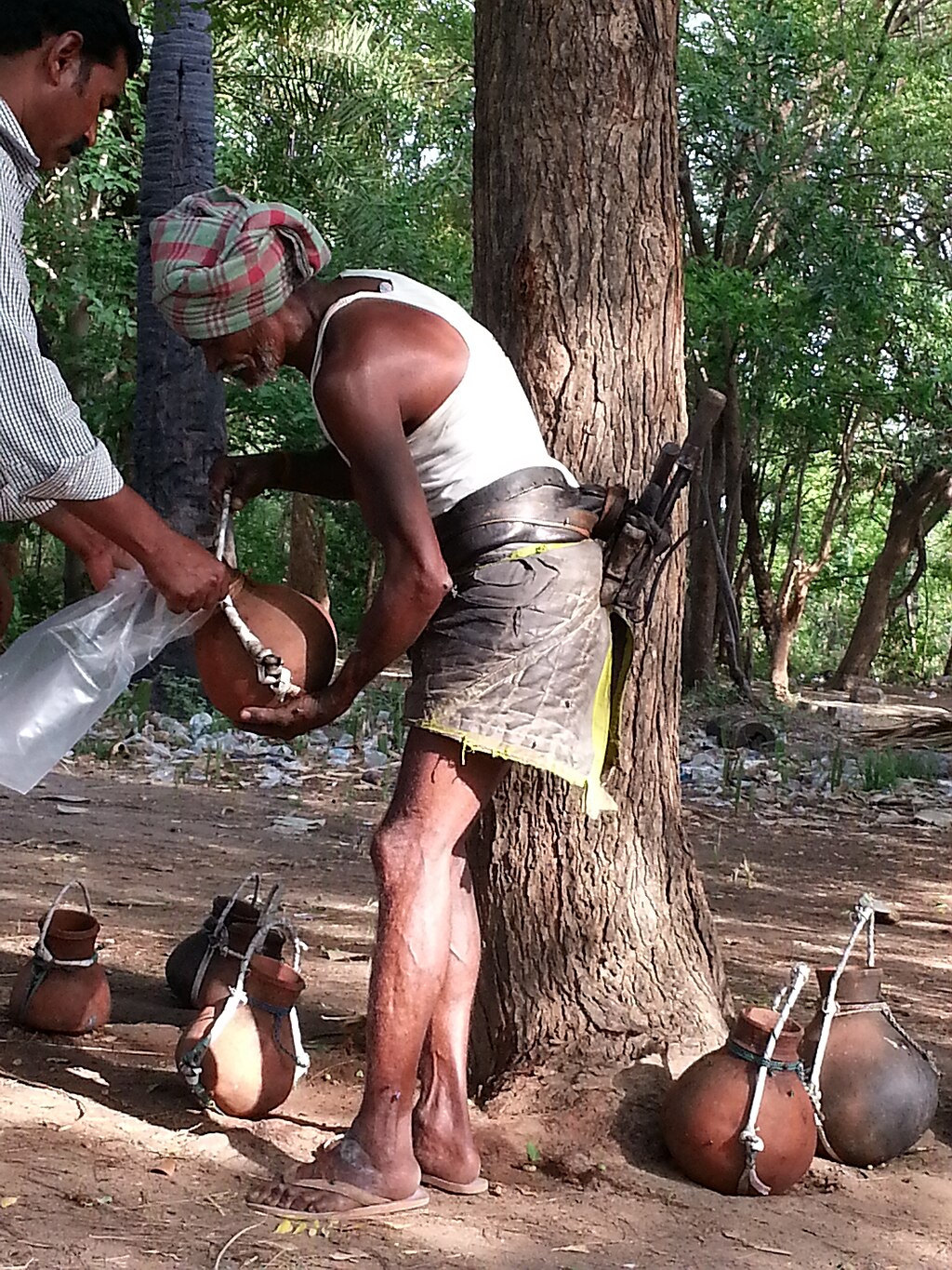 Toddy tapper (India)