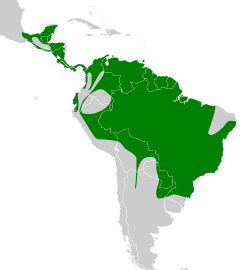 Distribución geográfica del picoplano sulfuroso.