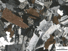 Tonalite nicol incrociati.gif