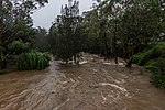 Toongabbie Creek