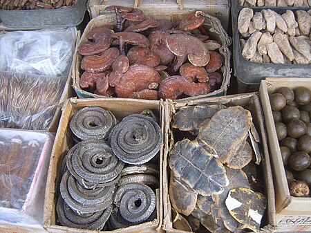 Fail:Traditional_Chinese_medicine_in_Xi'an_market.jpg