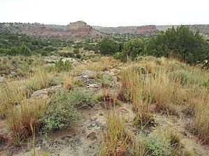 Tule Canyon as seen from Highway 207 north of Silverton, Texas Tule Canyon.jpg