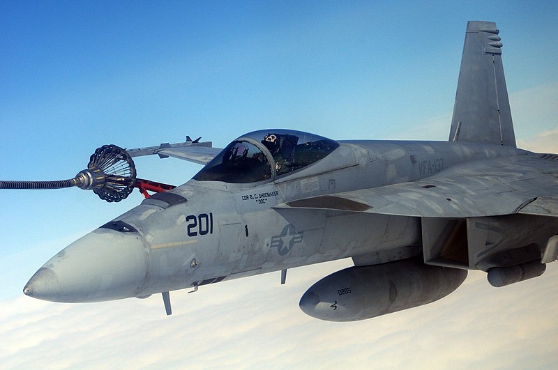 File:US Navy 110621-N-TR360-350 An F-A-18E Super Hornet assigned to the Kestrels of Strike Fighter Squadron (VFA) 137 based at Naval Air Station Lemoore.jpg