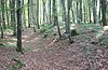 Early medieval ramparts between Unterfinning and Windach (the outer bailey from the northeast)