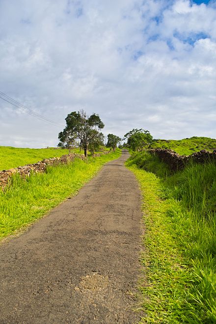 The romantic road to vagamon