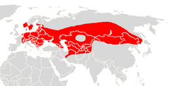 Vespertilio murinus range map.png