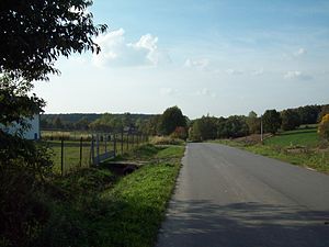 Droga Powiatowa: Kategoria dróg publicznych w Polsce
