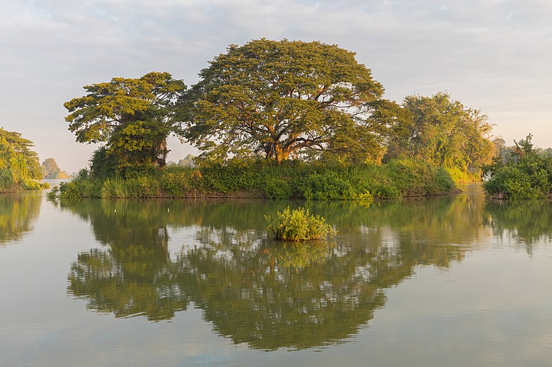 File:Water reflection of a green island at golden hour in Don Det Laos.jpg