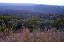 Fichier:Waterberg_bushveld.jpg